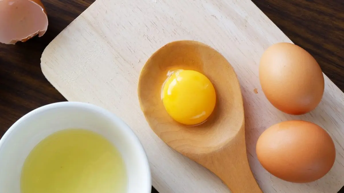 Tidak elergi kuning telor? Alasan kenapa kuning telor wajib dicoba. Foto: Ist.