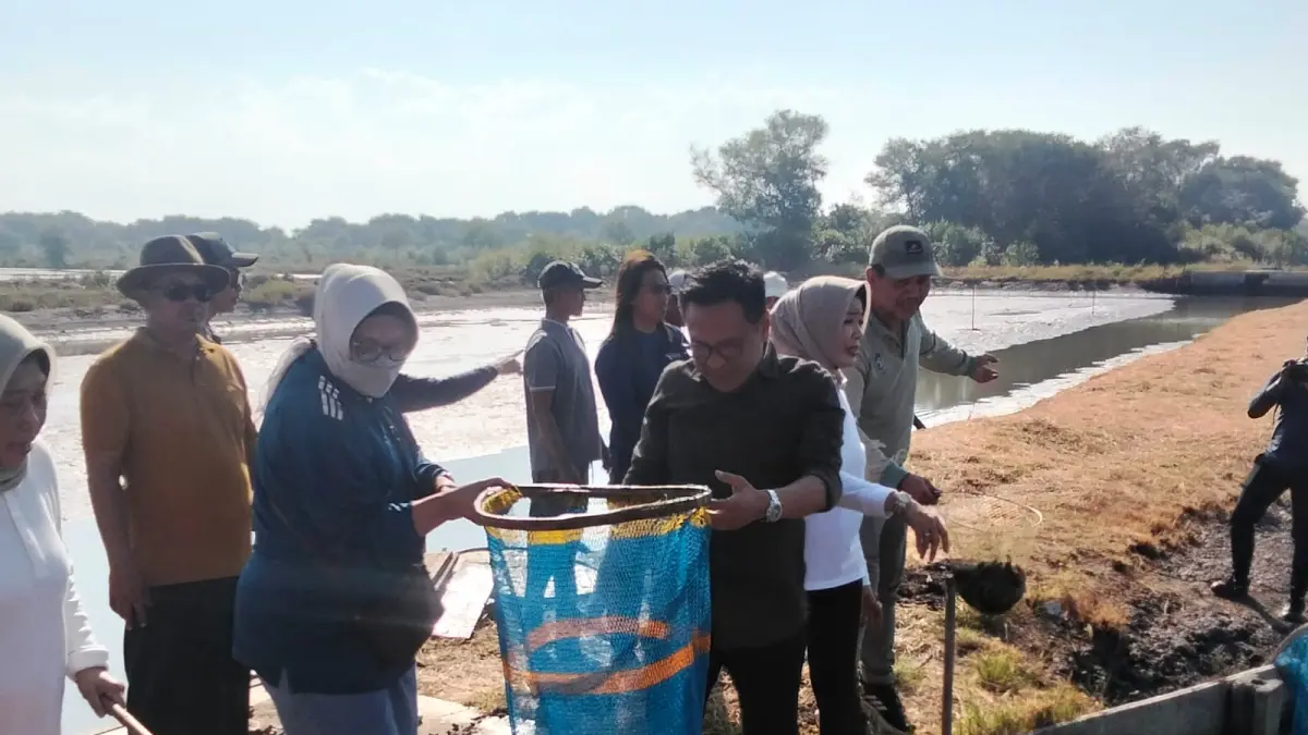 Panen ikan di kawasan Tambak Medokan Ayu, Surabaya. (IST)