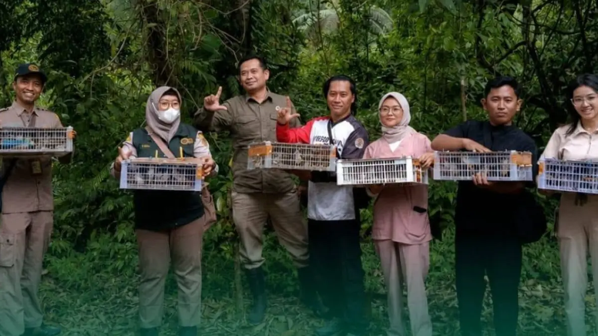 Penggagalan penyelundupan burung liar yang dibawa dari Bali menuju Wonogiri, Jawa Tengah. (IST)