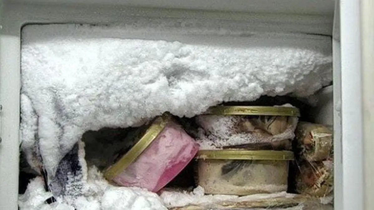 Lapisan bunga es yang menumpuk di dalam freezer sebaiknya segera dibersihkan agar kapasitas penyimpanan tetap maksimal dan sistem pendinginan kulkas bekerja lebih efisien. Foto: Ist.