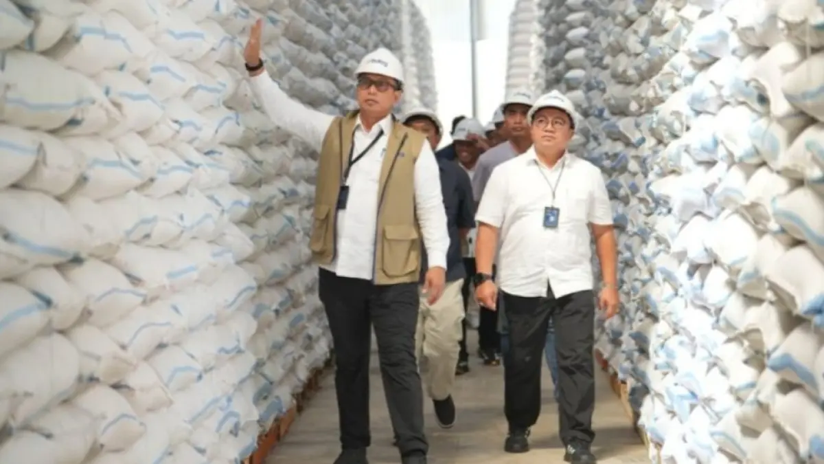  Direktur Utama Perum Bulog Ahmad Rizal Ramdhani (kiri) meninjau stok beras di gudang yang dikelola BUMN pangan tersebut. (ANTARA/HO-Bulog) 
