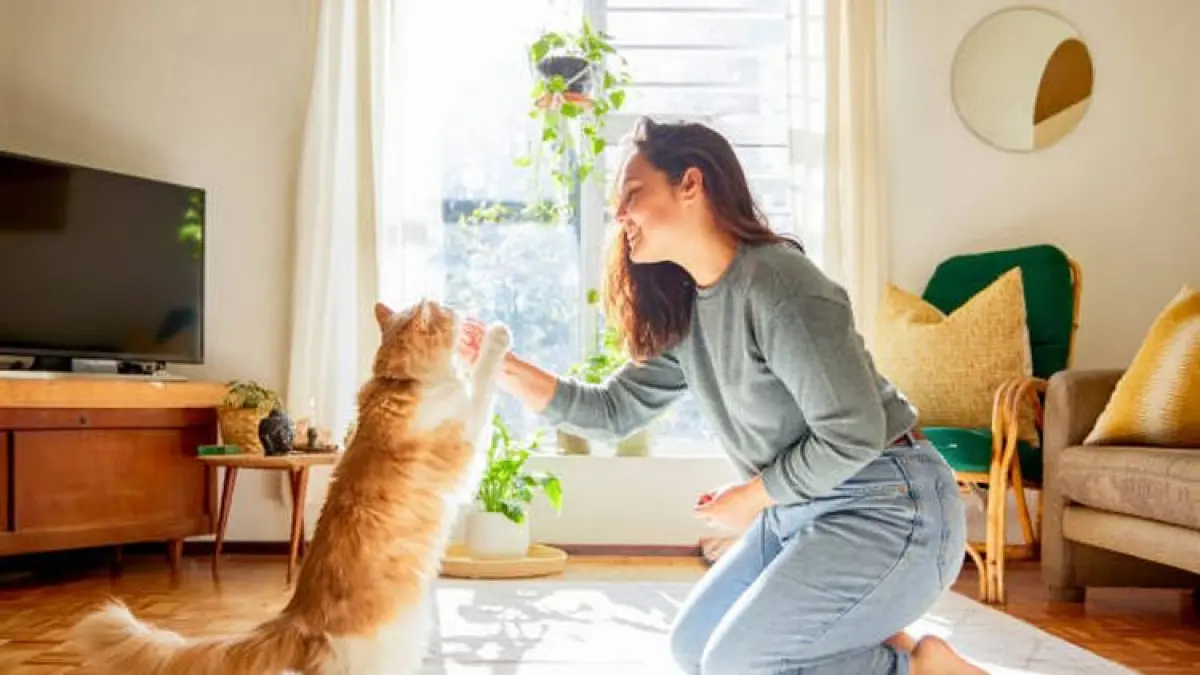 Berinteraksi dengan kucing, mulai dari membelai hingga bermain bersama, disebut berbagai penelitian dapat membantu mengurangi stres sekaligus memberikan manfaat bagi kesehatan fisik dan mental pemiliknya. Foto: Ist.