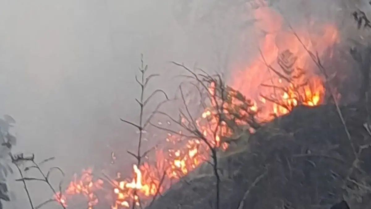 Kobaran api yang muncul di Blok Bantengan kawasan Taman Nasional Bromo Tengger Semeru (TNBTS), Senin (3/8). (ANTARA/HO-Balai Besar TNBTS) 
