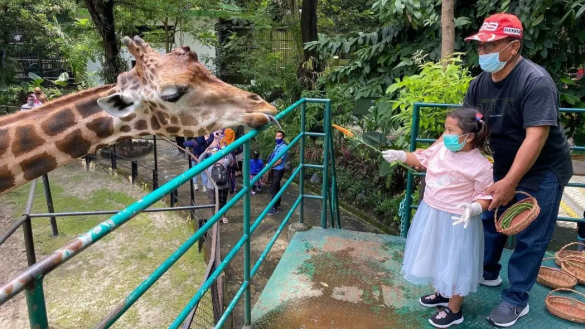 Suasana Kebun Binatang Surabaya (KBS) yang memiliki potensi besar untuk dikembangkan sebagai destinasi wisata pengalaman sekaligus pusat edukasi konservasi satwa. (Rahmat Sudrajat) 
