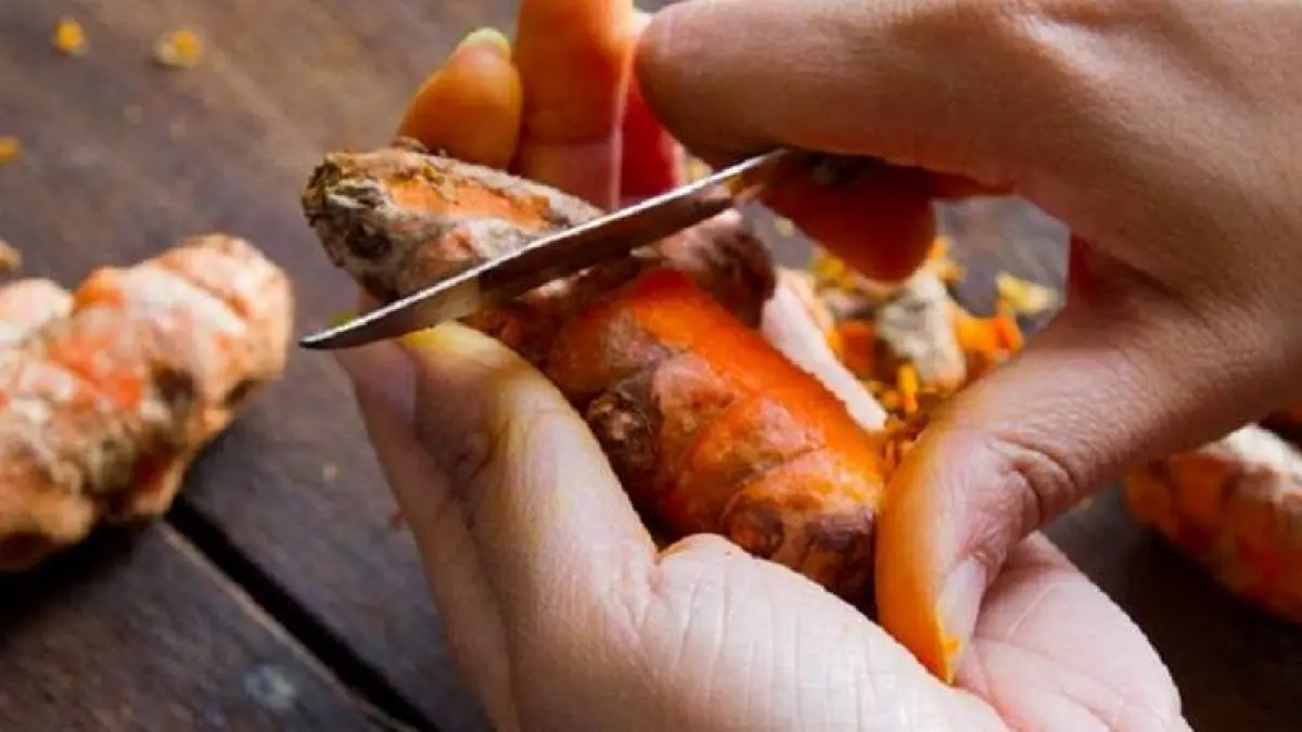 Tangan menguning setelah mengolah kunyit untuk memasak. Sejumlah bahan sederhana dapat digunakan untuk membantu membersihkan noda kunyit. Foto: Ist.
