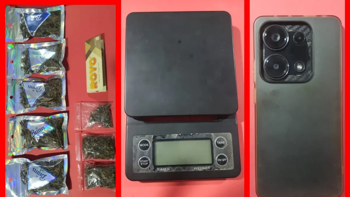 DISITA: Barang bukti ganja yang disita dari tersangka NMR warga Banyu Urip Kidul, Surabaya. Ia menyimpan ganja di bawah meja kamar.(IST/RADAR SURABAYA)