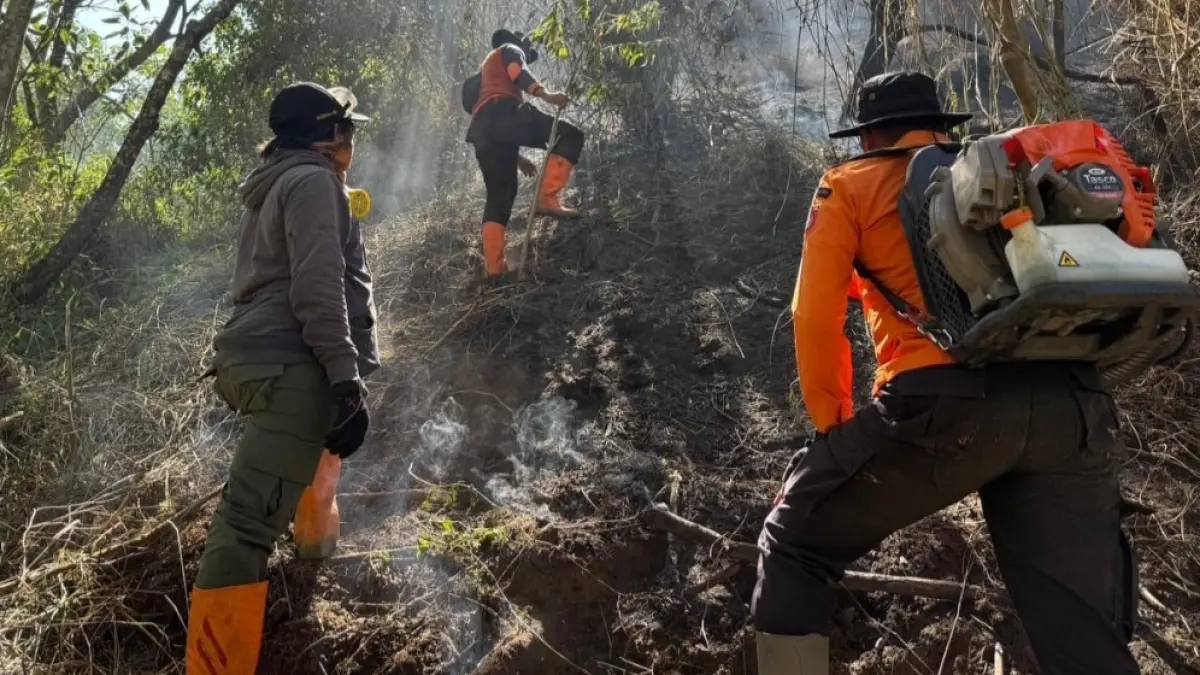 Petugas dan relawan berupaya memadamkan api yang membakar kawasan Gunung Semeru. (BPBD Jatim) 
