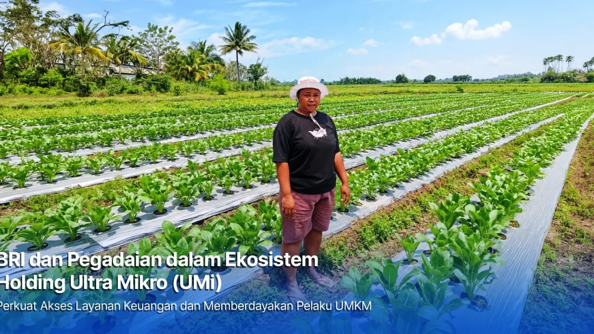 KREATIF: Holding Ultra Mikro bawa Mur Dwi Astuti sukses jadi petani di Merauke.