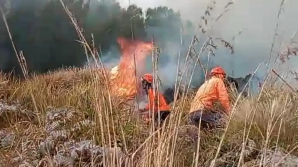 Petugas gabungan padamkan karhutla di kawasan Gunung Bromo dengan alat gepyok pada Jumat (11/9). (ANTARA/HO-BPBD Probolinggo).