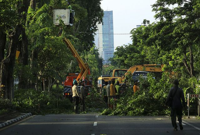 Perantingan Pohon, Dijadikan Kompos dan Kerajinan Tangan