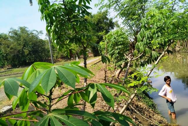 Hendak Buang Hajat di Sungai, Bocah SD Terpeleset dan Tewas Tenggelam