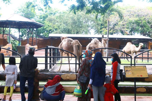 Jabatan Dirut Diperpanjang, Dua Kursi Direktur KBS Masih Kosong