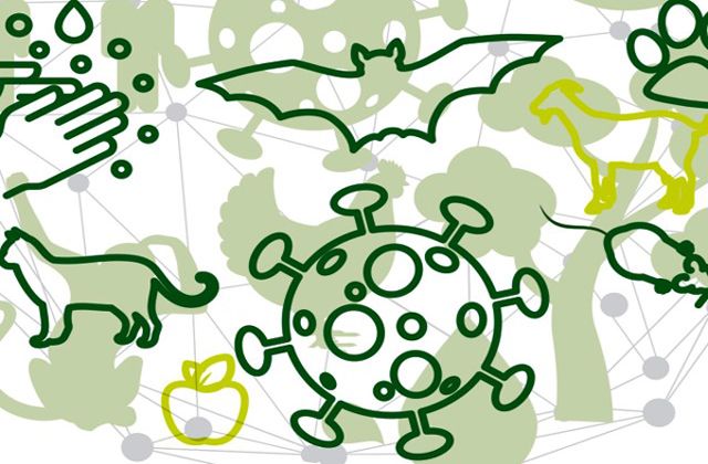 Jaga Kebersihan, Waspada Penyakit Zoonosis