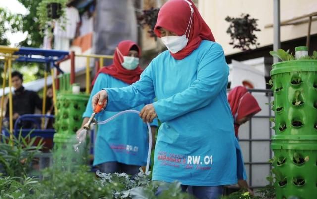 BRI Peduli Bantu Urban Farming di 18 Lokasi di Indonesia