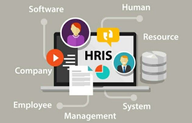 Inilah Aplikasi HRIS Terbaik di Indonesia