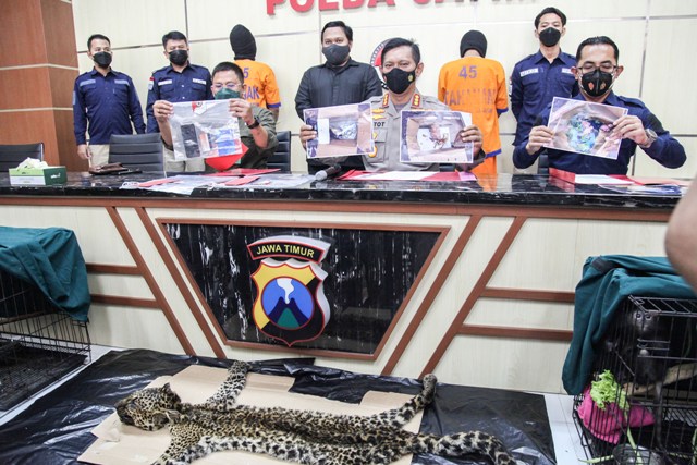 Petugas menunjukkan barang bukti dan tersangka kasus perdagangan satwa dilindungi yang diamankan di Mapolda Jatim, Jalan Ahmad Yani, Surabaya, Rabu (13/10). (SURYANTO/RADAR SURABAYA)