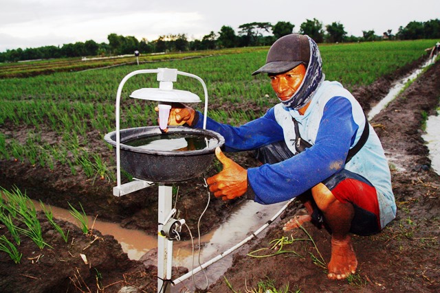 HEMAT LISTRIK: Supriyadi salah satu petani bawang merah warga dusun Grendul, Desa Klagen, Kecamatan Rejoso, Kabupaten Nganjuk sedang mengecek lampu LED ultraviolet yang berfungsi untuk mengurangi serangan hama pada tanaman bawang merah. Selain hemat energ