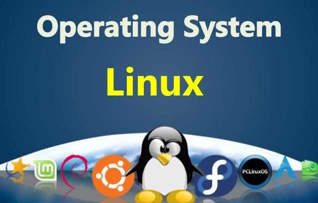 Ilustrasi Linux Operating System. (ISTIMEWA)