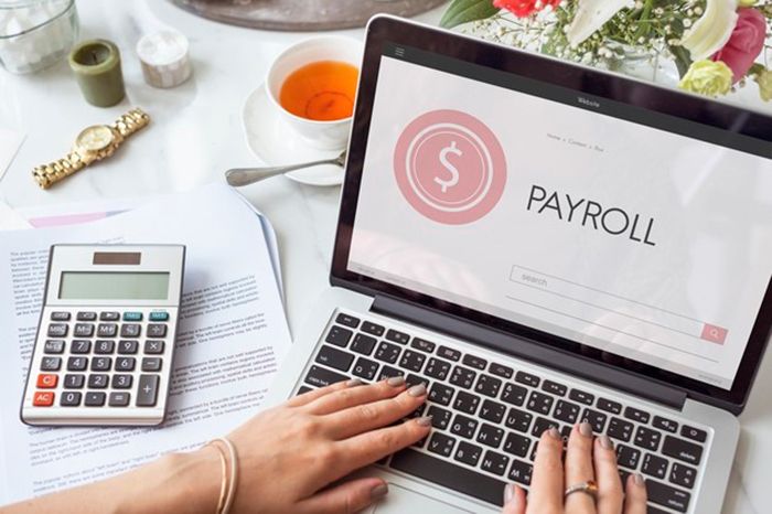 Ilustrasi software payroll. (ISTIMEWA)