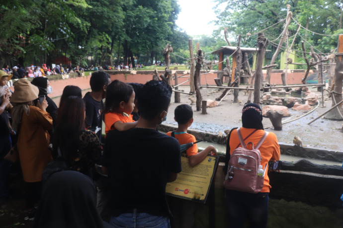 RAMAI: Masyarakat antusias menyaksikan koleksi satwa di Kebun Binatang Surabaya (KBS).  Di musim bediiding ini, beberapa satwa seperti monyet jadi malas bergerak.