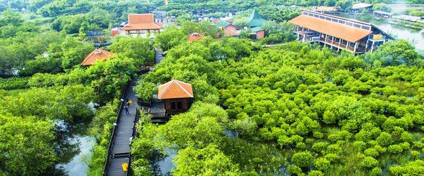 EDUKASI DAN REKREASI: Proyek Kebun Raya Mangrove dalam proses realisasi, nantinya luasnya bakal mencapai 46 hektare. (IST)