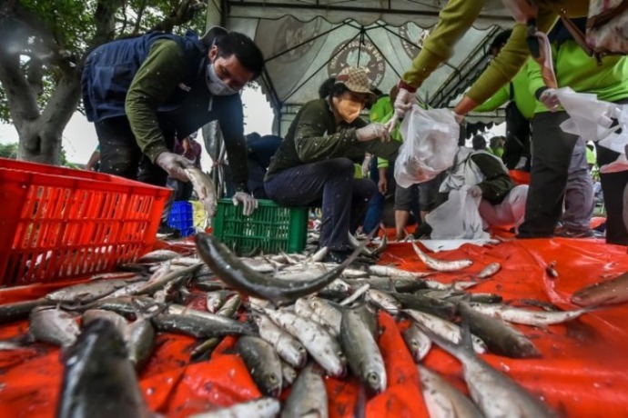 Panen ikan bandeng di salah satu tambak DKPP Surabaya. (ANTARA FOTO)