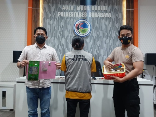 KAWAKAN: Tersangka Samsul Hadi diamankan bersama barang bukti di Polrestabes Surabaya. (IST)