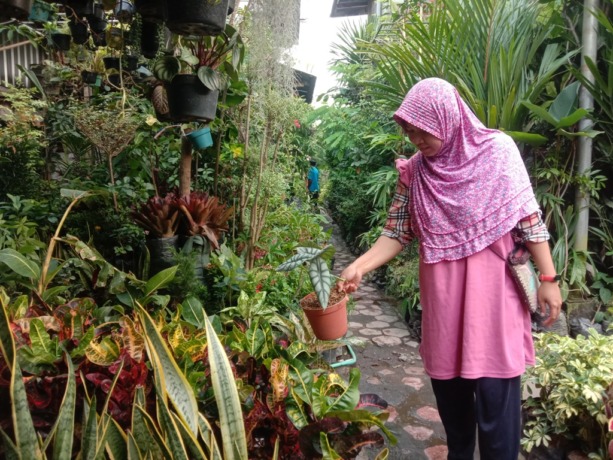 JADI JUJUKAN: Salah satu pedagang tanaman di Pasar Bratang yang sudah berjualan puluhan tahun. (FAJAR/RADAR SURABAYA)