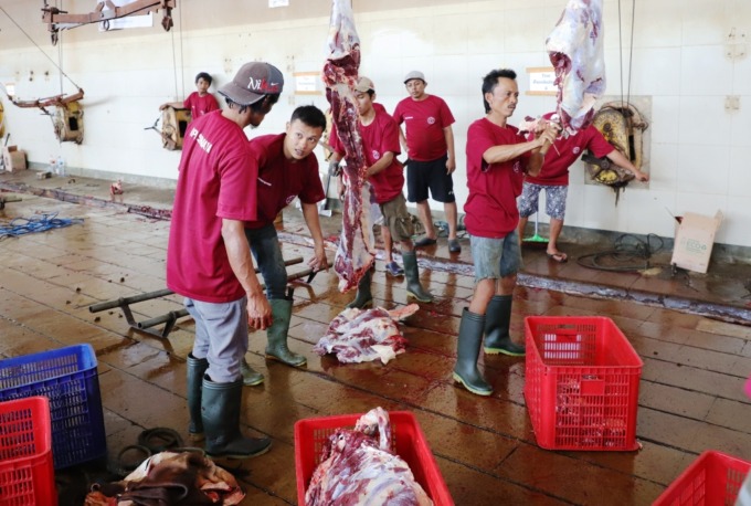 Tukang potong hewan di RPH Surya Pegirian Surabaya. (SURYANTO/RADAR SURABAYA)