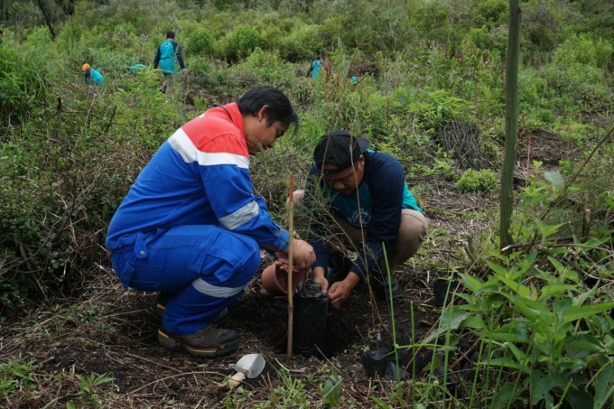 DEMI MASA DEPAN: Aksi tanam 1000 bibit cemara di kaki Gunung Ijen oleh PT Pertamina Patra Niaga Regional Jatimbalinus melalui Integrated Terminal Tanjung Wangi Banyuwangi bersama BKSDA Banyuwangi dan Himpunan Pemandu Wisata Khusus Wisata Ijen. (ISTIMEWA)