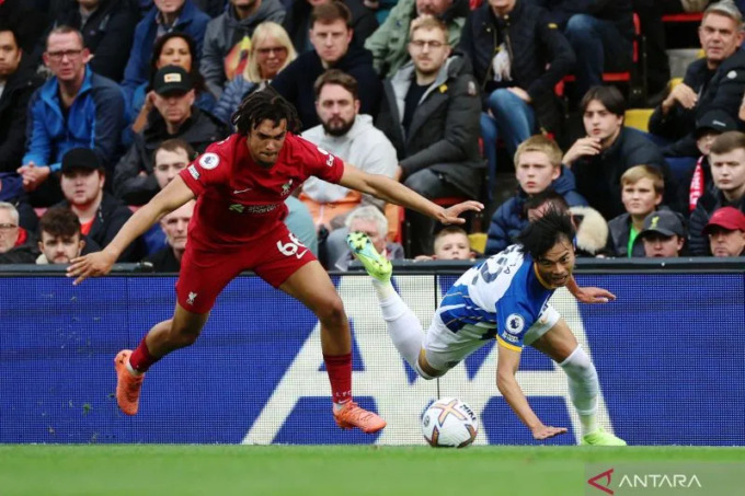 ILUSTRASI: Bek kanan Liverpool Trent Alexander-Arnold saat berduel memperebutkan bola dengan pemain Brighton Koaro Mitoma dalam pertandingan Liga Premier Inggris pada 1 Oktober 2022. IANTARA/REUTERS/PHIL NOBLE)