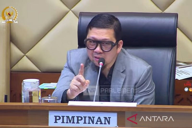 Ahmad Doli Kurnia. (ANTARA/Melalusa Susthira K/aa)