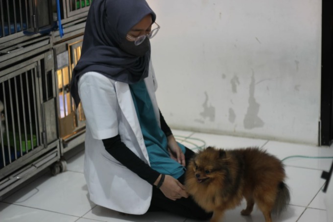 Perawatan satwa membutuhkan perhatian dan kasih sayang. (Chintyas Dewi/Radar Surabaya)