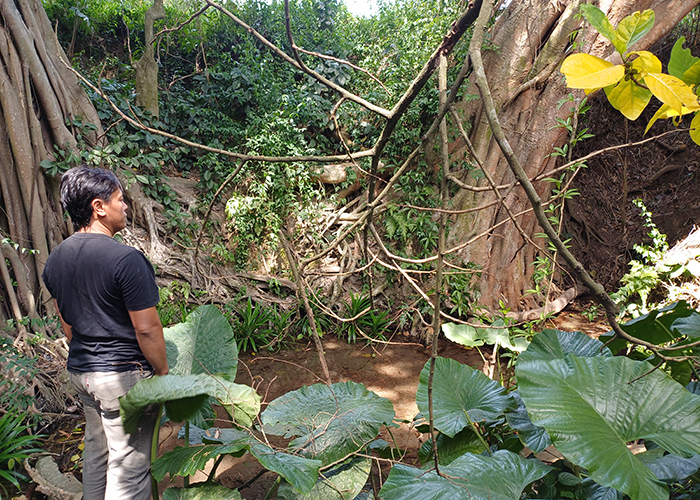 EROSI: Sudarsono menunjukkan mata iar di Sumber Gua yang hilang karena tergerus erosi. Suara aliran air masih terdengar dari titik mata air itu.