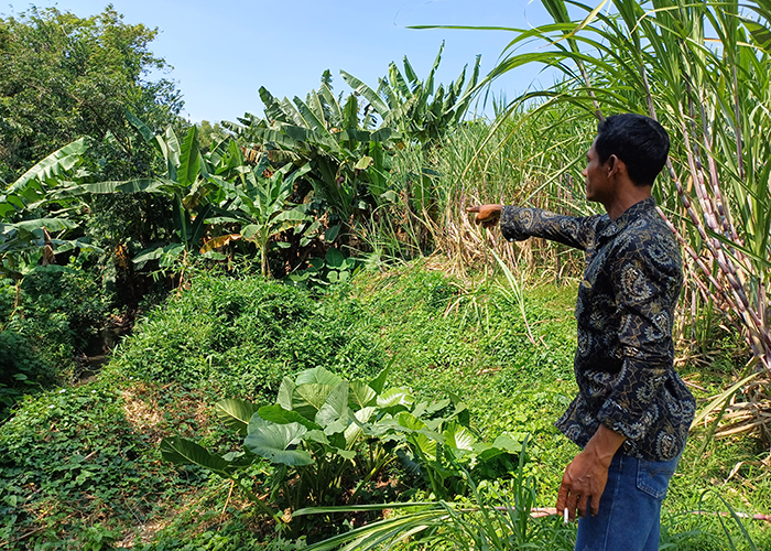 RIMBUN: Salim menunjuk jalan menuju Sumber Mangun yang tertutup rerimbunan semak dan bambu.