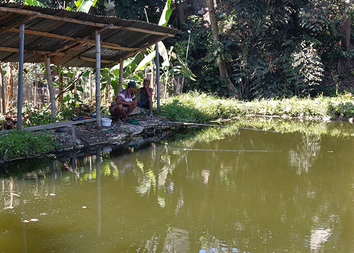 PENUH: Kolam-kolam pemancingan di Sumber Ngronggo penuh dengan beragam jenis ikan.