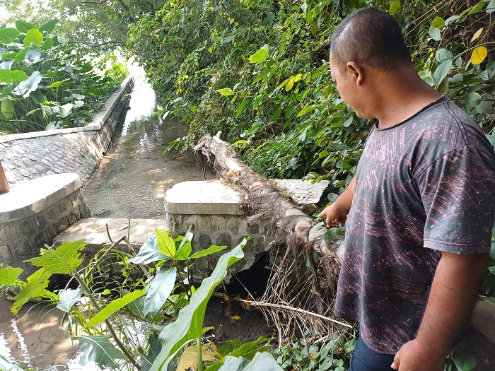 AMBROL: Pujiono menunjukkan dam yang salah satu sisinya ambrol karena tergerus air.