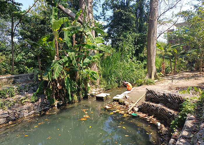 TERHAMBAT: Aliran air dari Sumber Dadapan tak bisa mengalir selama musim kemarau karena ketinggian air lebih rendah dari parit.