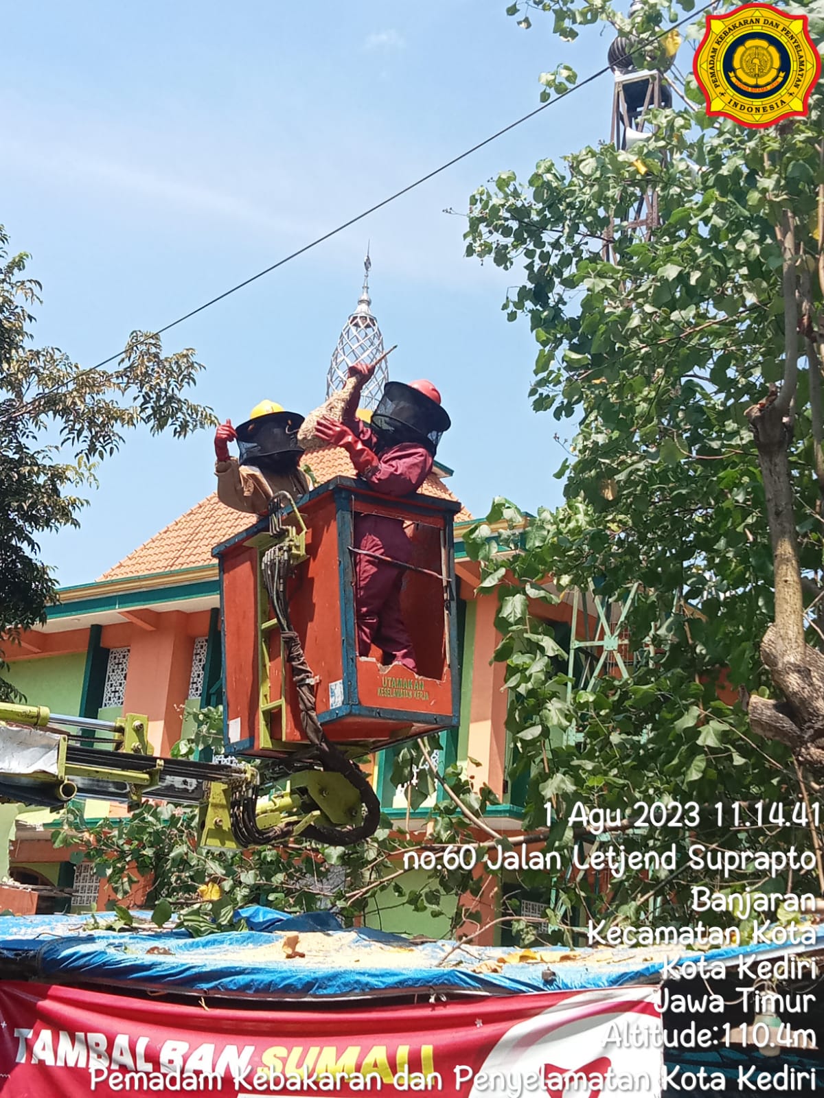 HATI-HATI: Petugas mengamankan sarang lebah yang berada di Taman Hutan Jayabaya Kota Kediri.