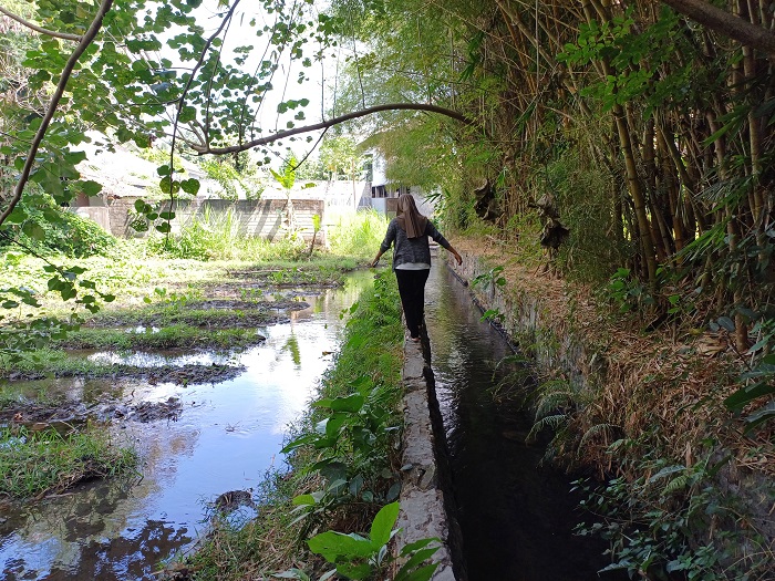 ADU NYALI: Warga Ngasinan melintas di tepian plengsengan sungai yang hanya selebar satu tapak kaki. Jalur itu merupakan akses menuju Sumber Ngasinan.