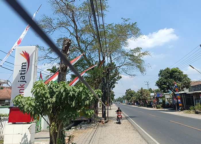 TERTIMPA POHON: Kondisi kabel jaringan telepon seusai tertimpa pohon Asam Cina di Desa Purwokerto, Ngadiluwih.