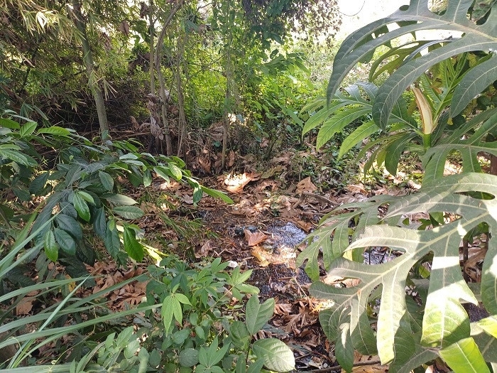 MIRIS: Sumber Gande yang berada di Kelurahan Bawang, Kecamatan Pesantren sering dijadikan tempat membuang sampah.