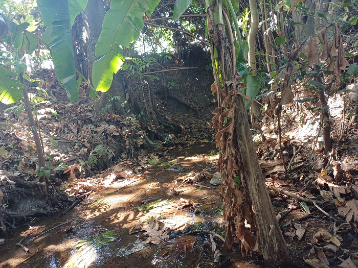 MENGALIR KECIL: Kondisi sumber Tengis di Kelurahan Bawang, Kecamatan Pesantren.