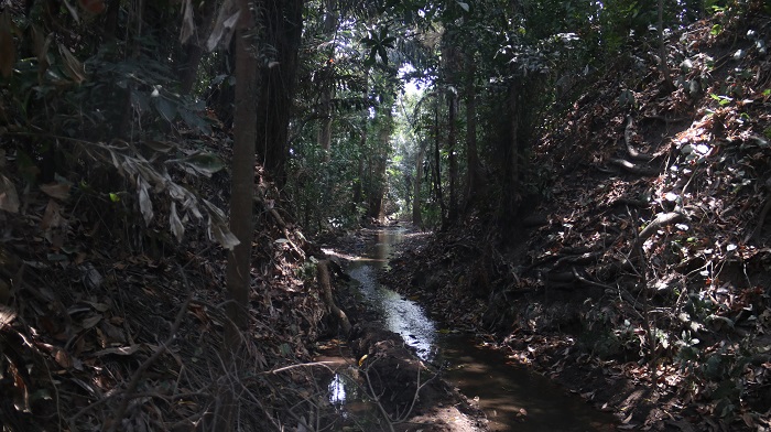 VITAL: Kondisi sumber Kedung di Desa Tulungrejo, Kecamatan Pare. Sumber ini menjadi penyuplai irigasi pertanian warga.
