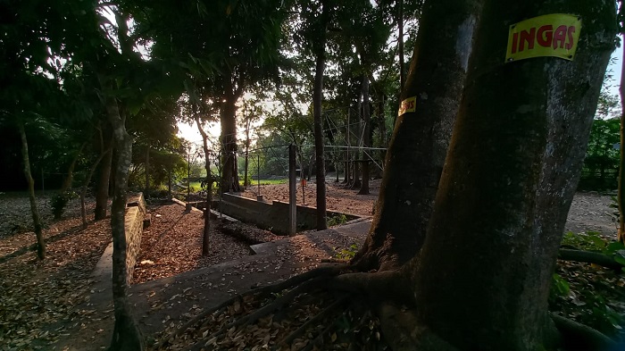 MANGKRAK: Kondisi sumber Sumbul yang berada di Desa Deyeng, Kecamatan Ringinrejo. Sangat disayangkan sumber ini kurang terawat.