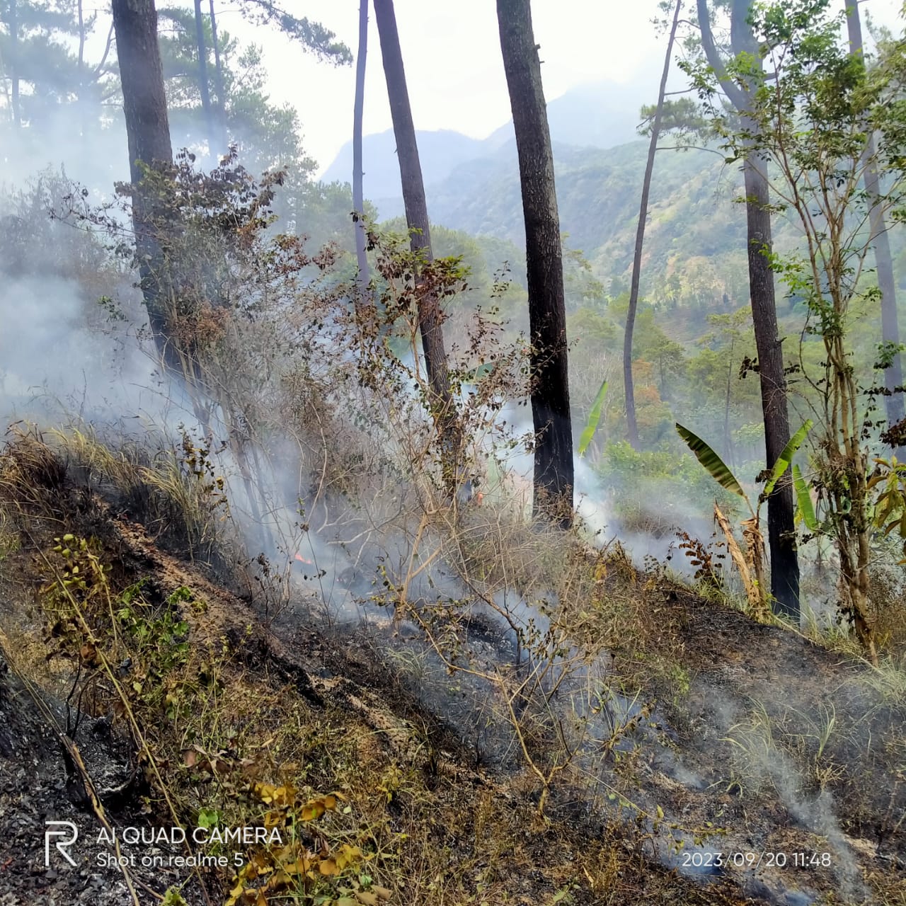 MIRIS: Kawasan hutan Lereng Gunung Wilis di Desa Selopanggung, Kecamatan Semen terbakar kemarin siang. Diduga kebakaran tersebut karena cuaca ekstrem.