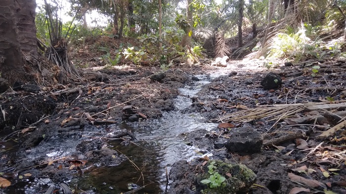 NYARIS TAK TERJAMAH: Kondisi sumber Cangkring yang berada di Desa Pelem, Kecamatan Pare relatif masih asli.