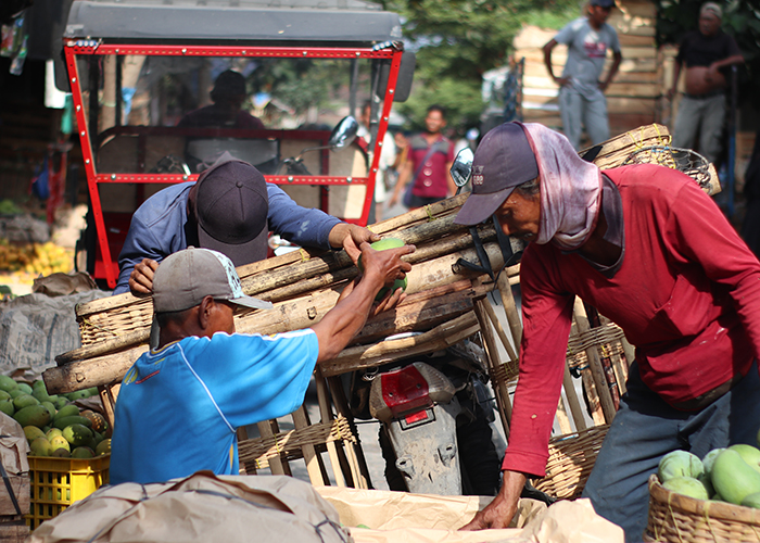 IKON KEDIRI: Aktivitas jual-beli mangga podang di musim panen tahun ini ramai. Pasar yang terdampak Tol Kediri-Kertosono itu akan segera dipindah ke lokasi baru.