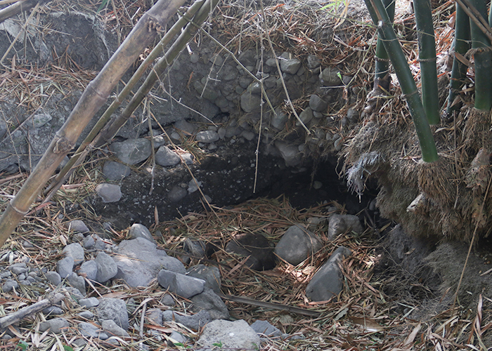 KERING: Kondisi Sumber Rejosari yang mengering ketika musim kemarau seperti sekarang ini. Sumber ini akan muncul lagi saat musim hujan.