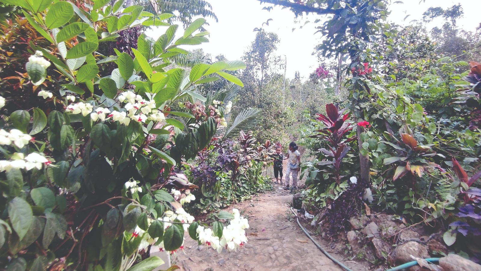 POTENSI WISATA: Suasana pedesaan di Kampung Sengkuni di Dusun/Desa Bendolo, Kecamatan Sawahan memikat wisatawan.